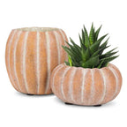 Cement Pumpkin Planter: Large Tall (9.5"H)