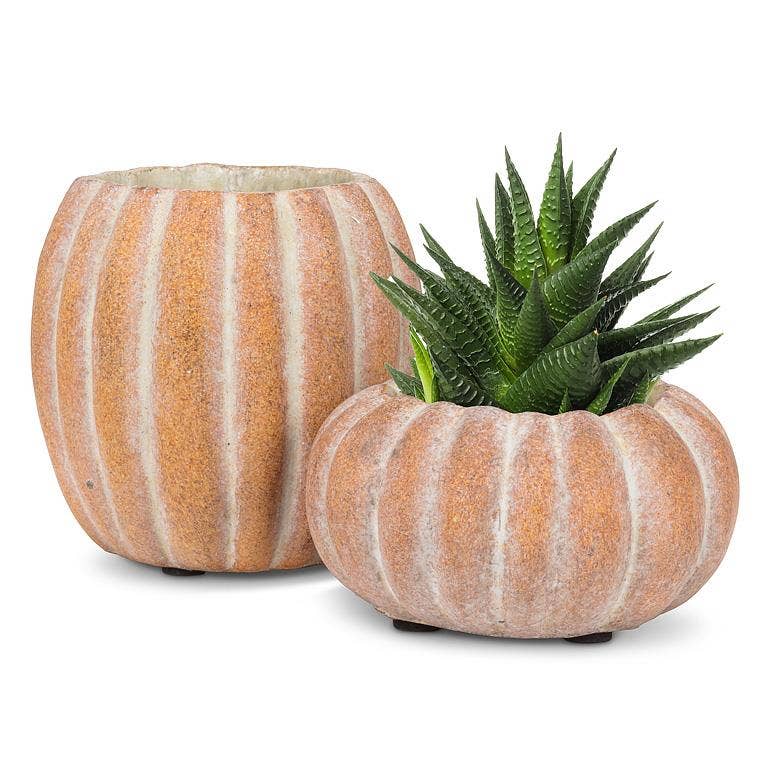 Cement Pumpkin Planter: Large Low (6.5"W)