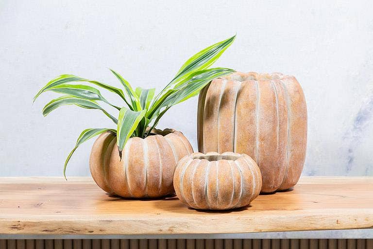 Cement Pumpkin Planter: Large Low (6.5"W)