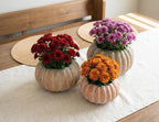 Cement Pumpkin Planter: Large Low (6.5"W)