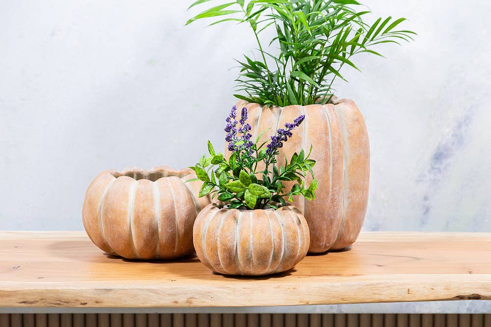 Cement Pumpkin Planter: Large Tall (9.5"H)
