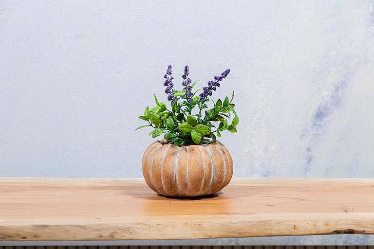 Cement Pumpkin Planter: Small Low (5.5"W)
