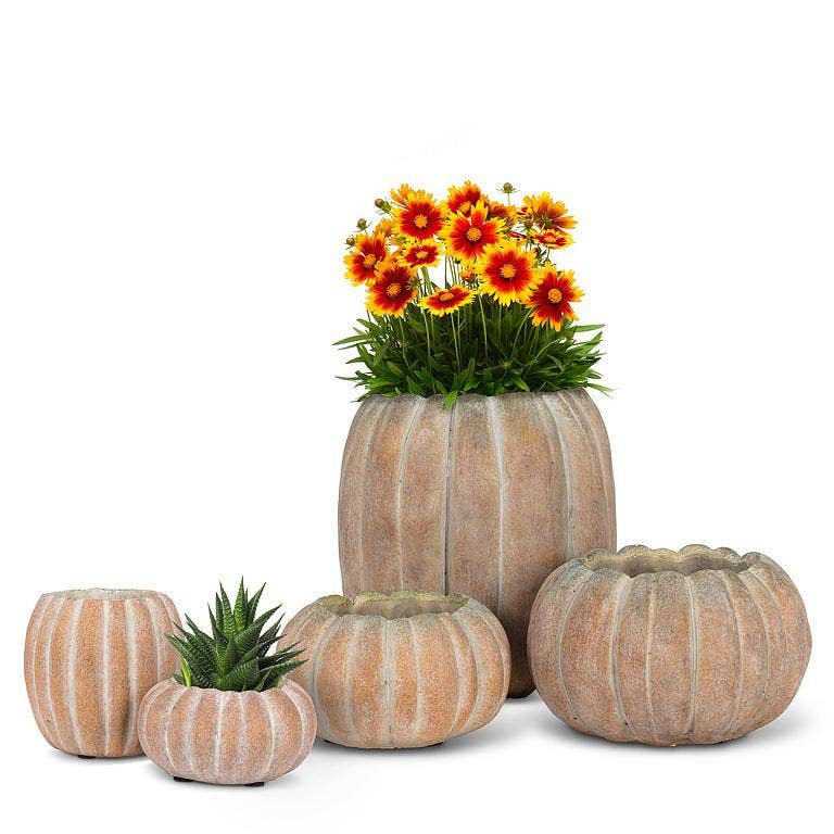 Cement Pumpkin Planter: Large Tall (9.5"H)