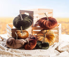 Velvet Pumpkin - 4 Assorted 10"D - Clearance: Large (10"D)