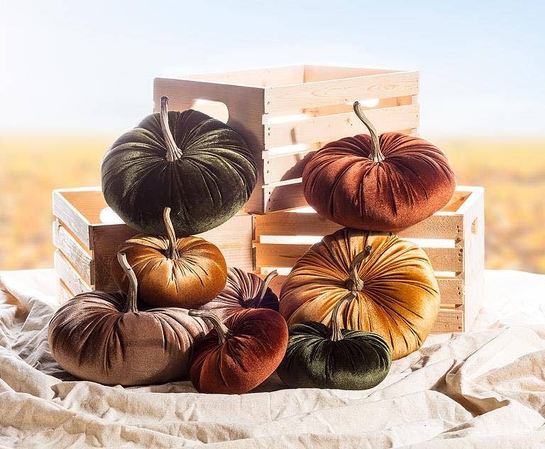 Velvet Pumpkin - 4 Assorted 10"D - Clearance: Large (10"D)
