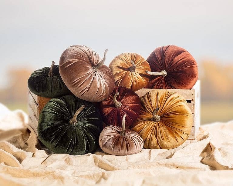 Velvet Pumpkin - 4 Assorted 10"D - Clearance: Large (10"D)