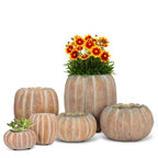 Cement Pumpkin Planter: Large Tall (9.5"H)