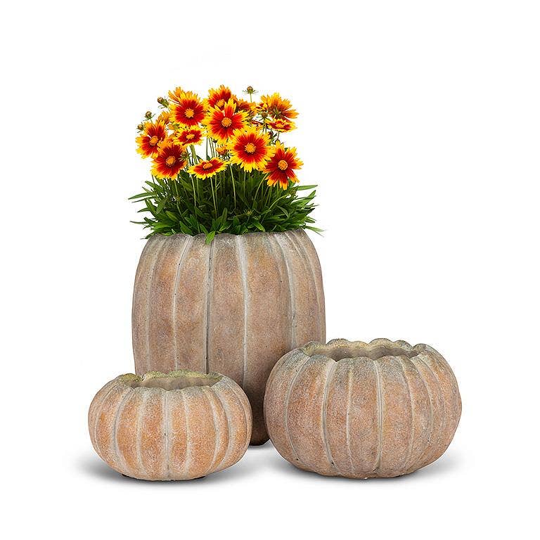 Cement Pumpkin Planter: Large Tall (9.5"H)