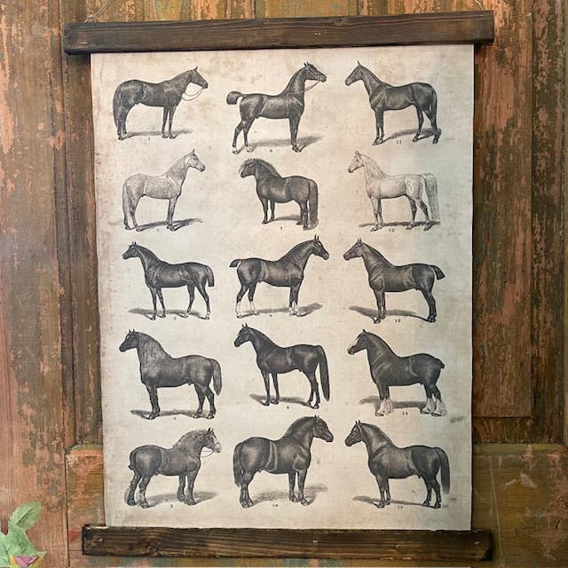 Vintage Horse Hanging Poster