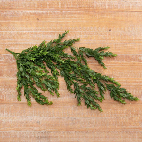 Branch - Cascading Greenery