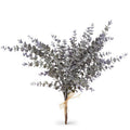 Eucalyptus Sprig Bunch-16"H