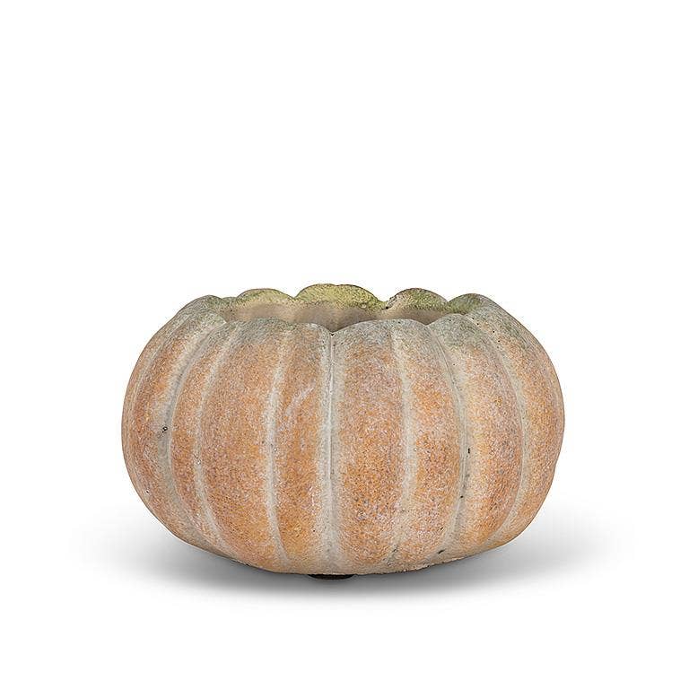 Cement Pumpkin Planter: Large Low (6.5"W)